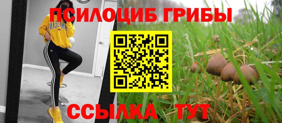 Галлюциногенные грибы GOLDEN TEACHER  Галлюциногенные грибы Magic Shrooms  Спасск-Дальний  купить  сайты  Вход с VPN 